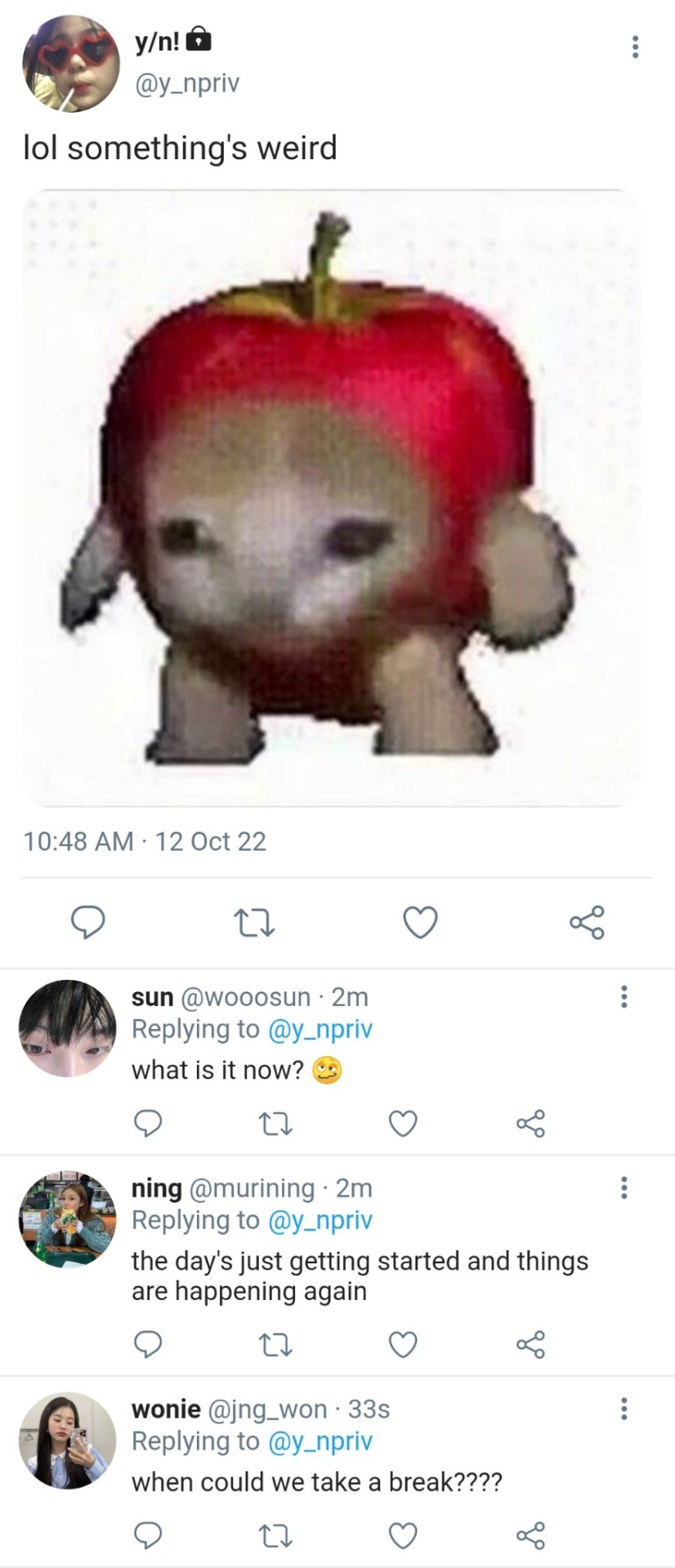 CURIOUS CAT Dumb And Dumber