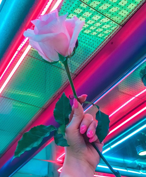 sleazeburger: Walking around Manhattan with nothing but my phone and my rose