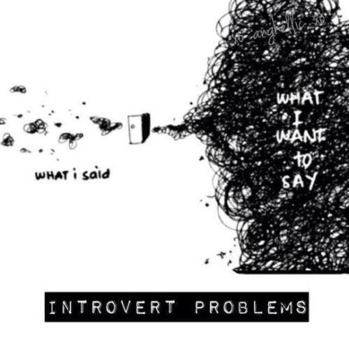 introvertunites: If you’re an introvert, follow us @introvertunites​