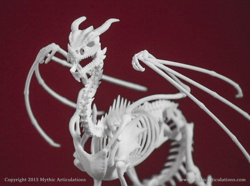 XXX mythicarticulations:  Dragon skeleton. It’s photo