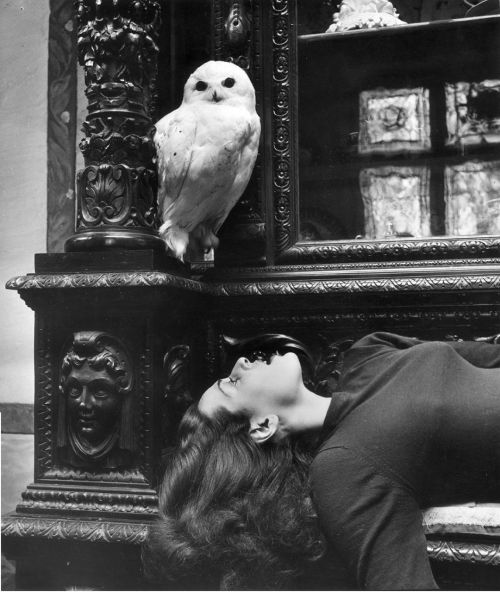 My granny Agnes posing in @castleleslie. With an owl. (Sometime in the 1950s.) #grandmother #granny 