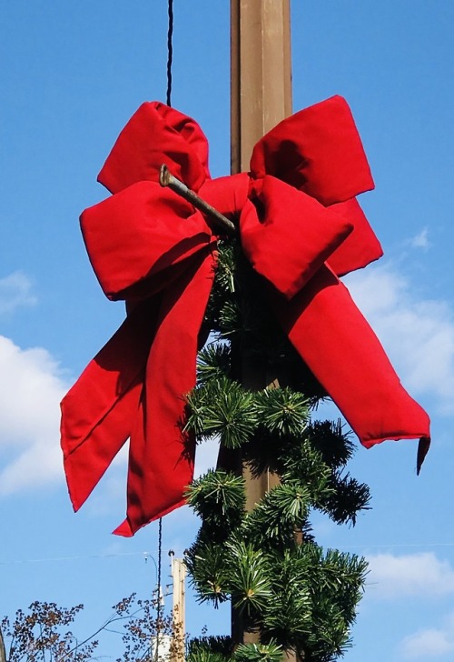 Holiday Decorations, Leesburg, 2018.