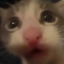 poopenfarden28