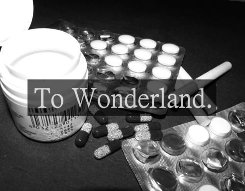 wildwolfwithsharpenedteeth:  Say Hello, to Goodbye on We Heart It. http://weheartit.com/entry/47905617 