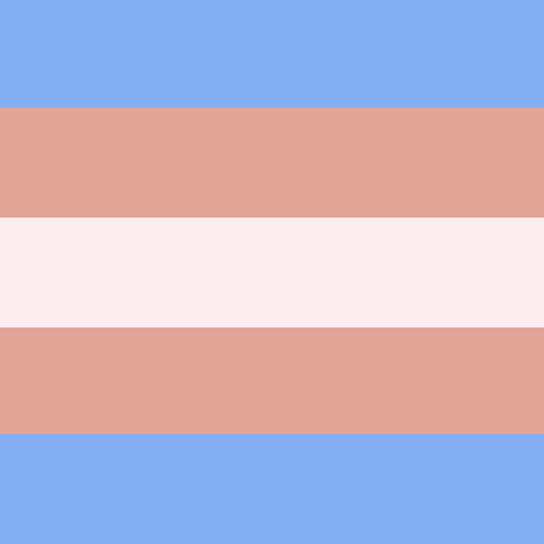 Trans flag but it’s color-picked from The Hero of Hyrule (The Legend of Zelda).