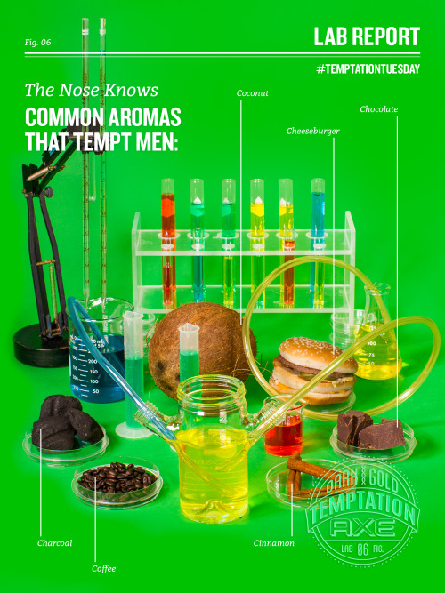 axetemptation:  The most common aromas that men find tempting are burgers, chocolate, charcoal, cinnamon, coffee, and coconut.   …..Did Axe just create a product for gay men? I mean that’s cool if they did, just didn’t see it coming.