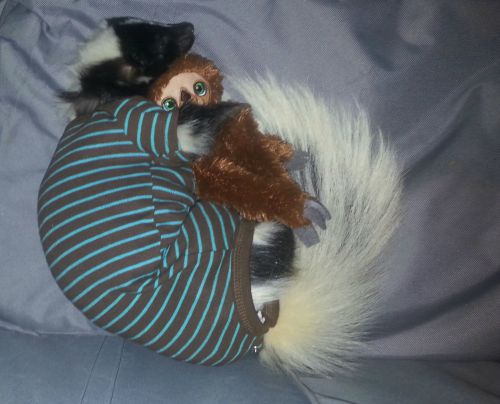 rafe-is-not-a-sir:hiilumaru:kili-fili-and-frilly:People on tumblr have the best pets.SKUNK IN A ONES