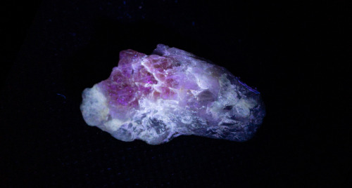 Sunstone with Iolite displaying fluorescenceLocality: Unknown 375nm (Longwave) UV Light 