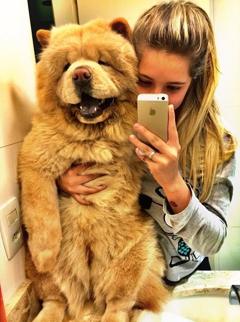 asideofsmiles:  brunettes-n-sunsets:  I need both of them  Oh my shit 😍😍😍