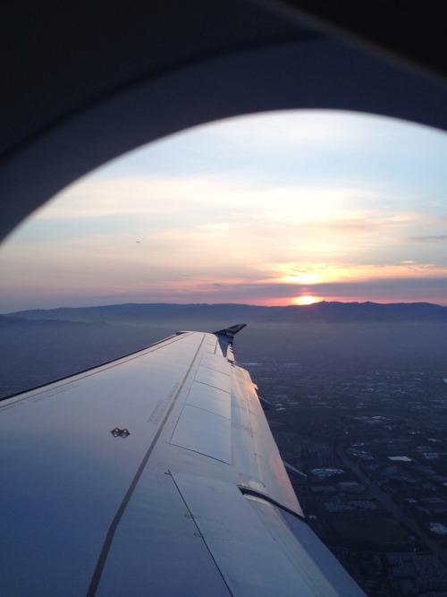 You Guys, Im Not Sure If Youve Heard Of This Modern Marvel Called PLANES, But, Theyre Kinda A Big Deal.