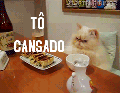 Eu nos primeiros 2 minutos do primeiro dia de aula: