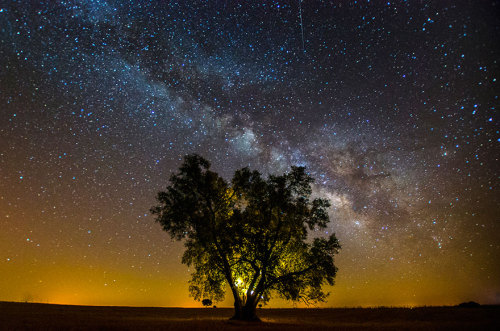 the-awesome-quotes:  Photographer   João P.Santos Captures The Starry Skies Of Less-Polluted Places