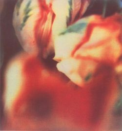 nobrashfestivity:  Cy Twombly, Polaroidmore