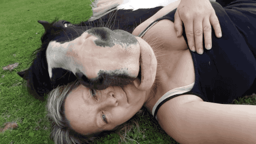 tastefullyoffensive:  Video: Horse Uses Woman’s Face as a Pillow