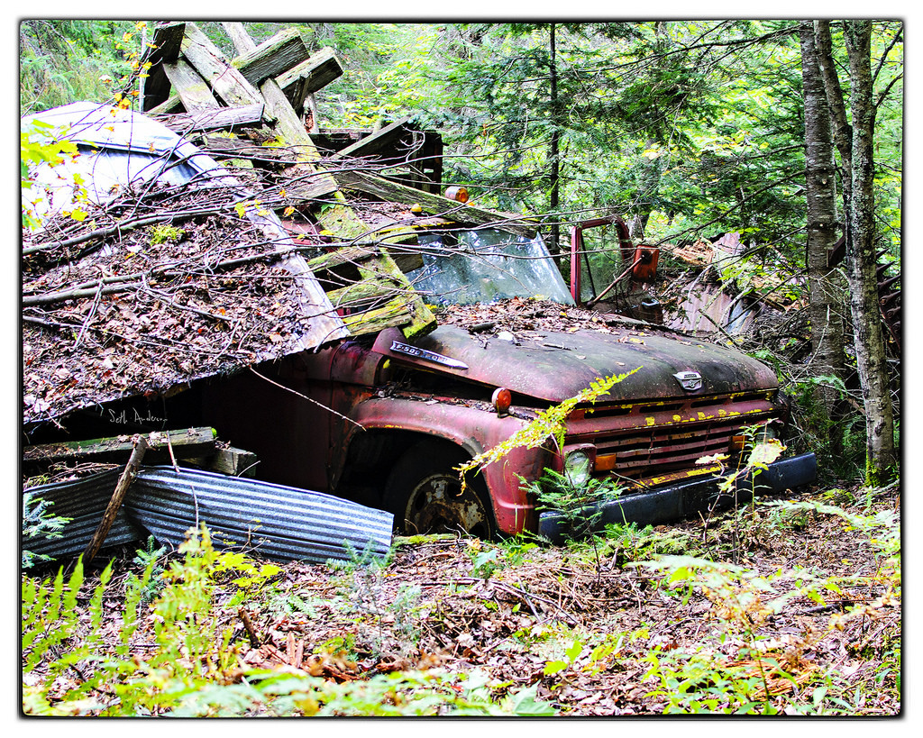 Ford F-500 Remnants -
Frostpocket. Not sure what year this truck was made, I’d guess mid-60’s, but I could be wrong. -
embiggen by clicking here:
http://ift.tt/1roAjch
I took this photo on September 12, 2014 at 04:09PM