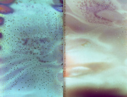 brigettebloom:  entire roll got ruined but cool shapes ! 