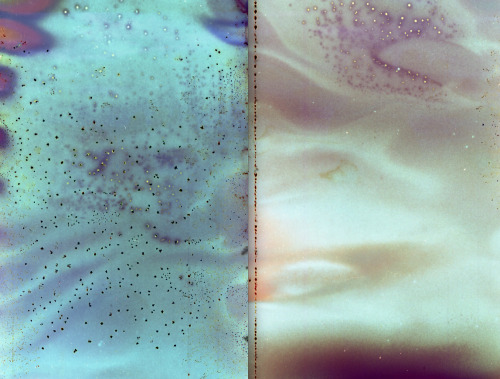 viceroygirl:brigettebloom: entire roll got ruined but cool shapes ! koolfox maybe this is how i