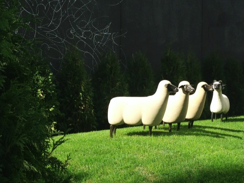 blackberryvision:  Sheep Station, François-Xavier Lalanne. Chelsea.