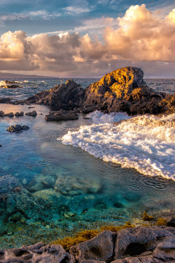 plasmatics-life:  Maui Tidepool |  by Mojo2u
