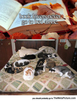 srsfunny:Book Lovers Will Never Be Alone