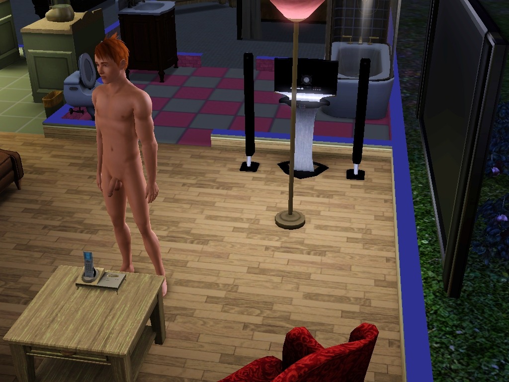 clitsandlips:  Off Topic For all Sims3 fans out there. I’ve got an “easy to use
