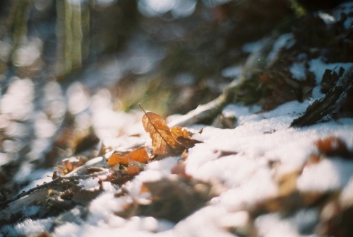 mt.miune first snow this year