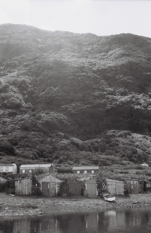 São Jorge, Azores.September, 2018