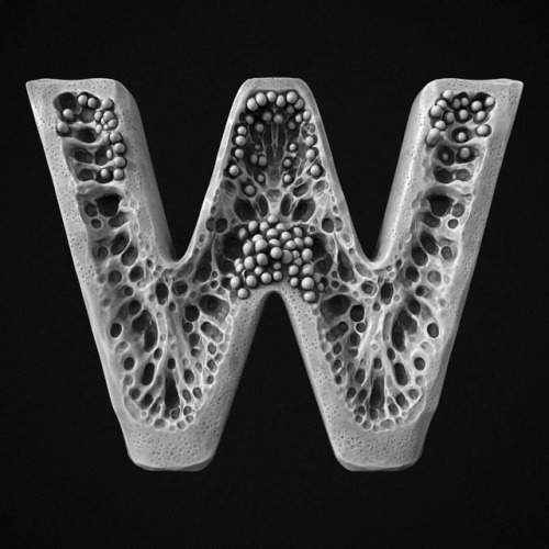 «w» ...@36daysoftype #36daysoftype #36days_w #36daysoftype05 #font #typography #typeface #zbrush #z