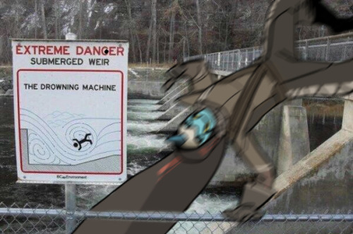 lotusshim554:  EXTREME DANGCER