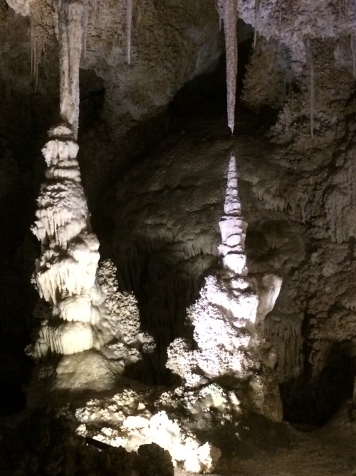 anomalokaris: Seds/ Strat field trip. Carlsbad Caverns. It’s always nice when your undergrad f