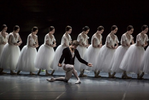 passioneperladanza:  Denis Vieira as Albrecht with Ballett Zürich  © Gregory Batardon Phot