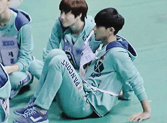 incenesque:  sleepy taozi resting against his junmaho~ 
