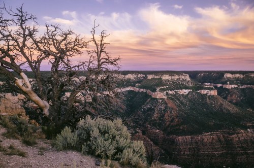 jasperfeels: crazy jug point (grand canyon)