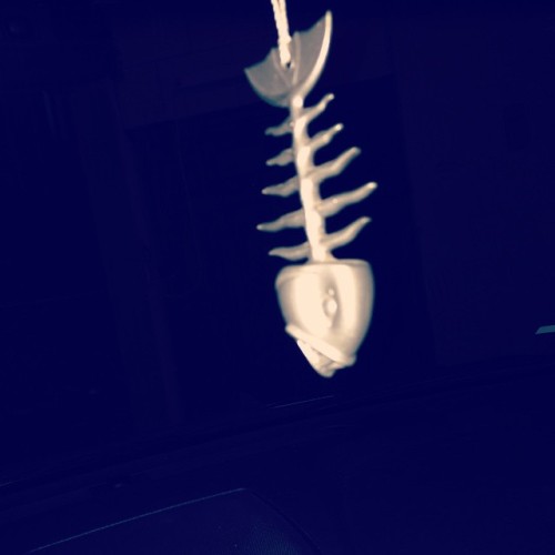 Mirror Hanger (at My Car)