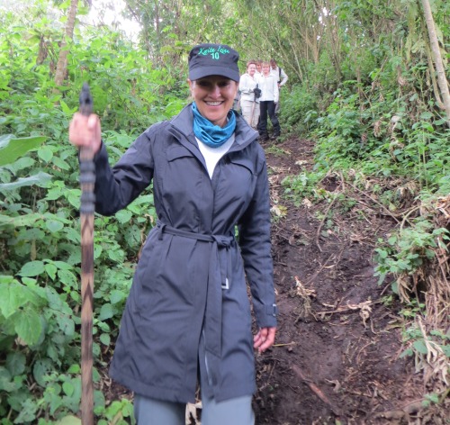 ayearinrwanda:An arduous trek up Karasimibi mountain - and the reward was Dian Fossey’s original fam