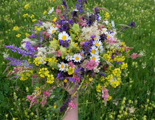 allthingssoulful-garden:First bouquet of the year. It was a race to make it before it started rainin