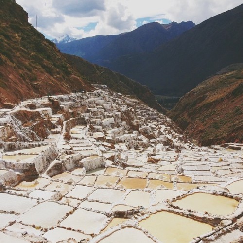 Salt terraces in Peru! Going home with little bags of rosemary and chili salt harvested here. #saltt