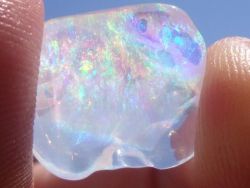 crowcrow:  Mexican fire opal 