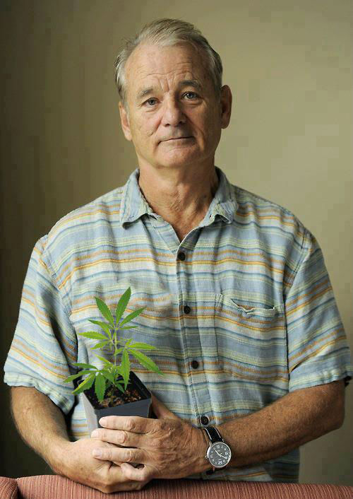 ifonlywewereamoungstfriends:  deathcabforkehan:  shipwreckedatseaa:  jakehellrose:  gnarville:  Proof that Bill Murray really is the most interesting man in the world.  That’s why I love this guy.  bill fuckin murray  my hero     LEGENDARY