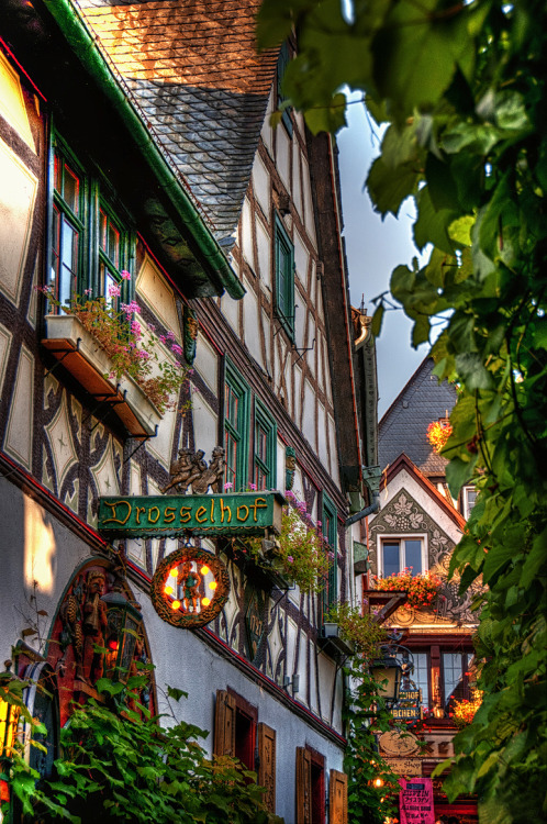 liebesdeutschland:  Rüdesheim am Rhein (Hessen) 