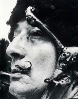 redbrokecutout:  Dalí 