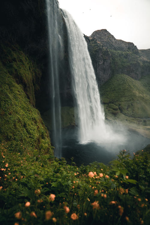 drxgonfly:Classic Beauty (by Tobias Hägg)Seljalandsfoss, Iceland