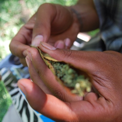 weedporndaily:  by @too_lit_2_quit