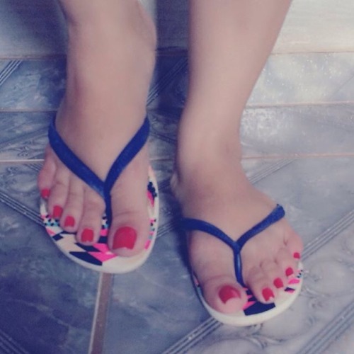Jay_feet