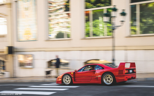 F40 Facebook || Tumblr || Instagram 