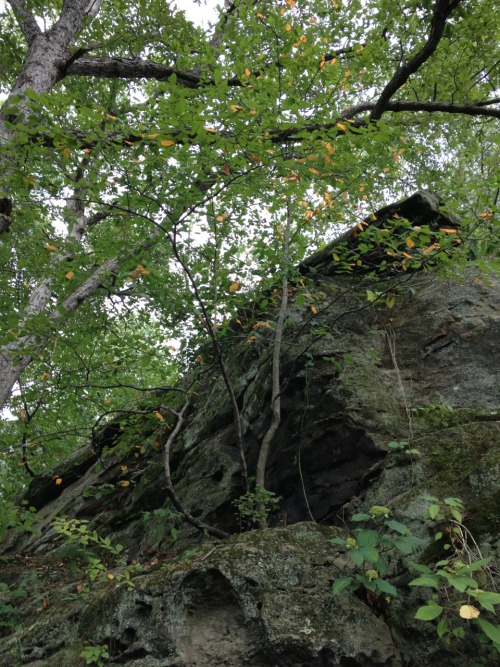 black rock barrens