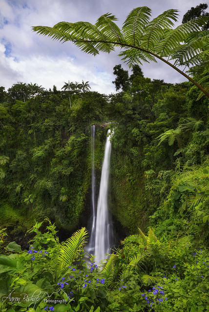 legacy-of:  Fuipisia Falls, Upolu, Samoa by Aaron Bishop