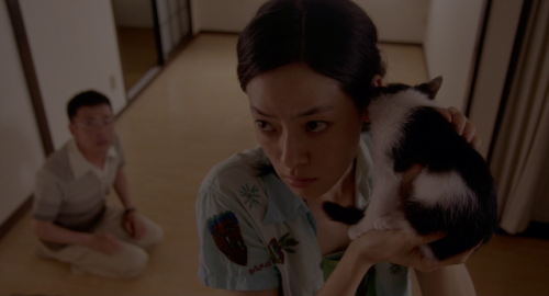 rent-a-cat (naoko ogigami, 2012)