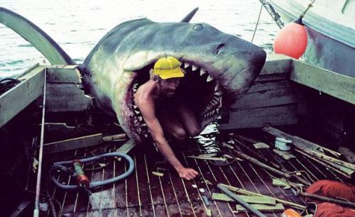 yodaprod: Tournage “Les Dents de la mer”, Steven Spielberg (1975)On the set of &ldq