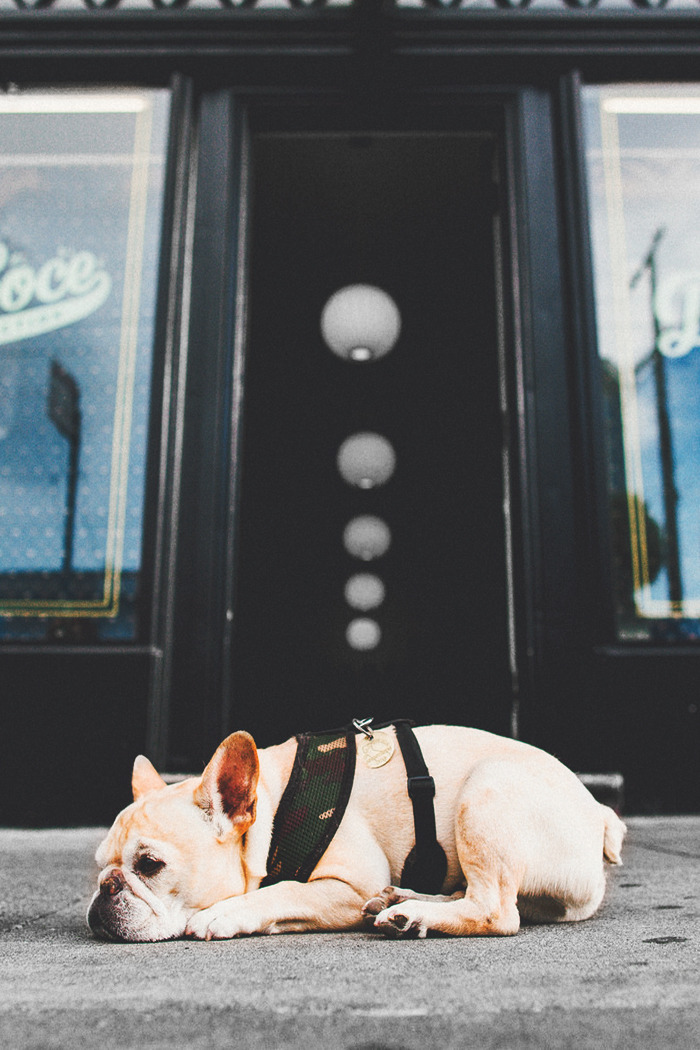 envyavenue:  Lonesome | EnvyAvenue